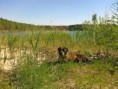 Ein Spaziergang um den See, Holzdorf - eine Frühlingsversion